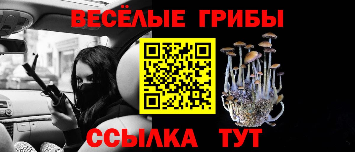 Псилоцибиновые грибы мицелий Гулькевичи